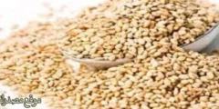فوائد زيت السمسم للشعر والجسم ولتفتيح المناطق الحساسة